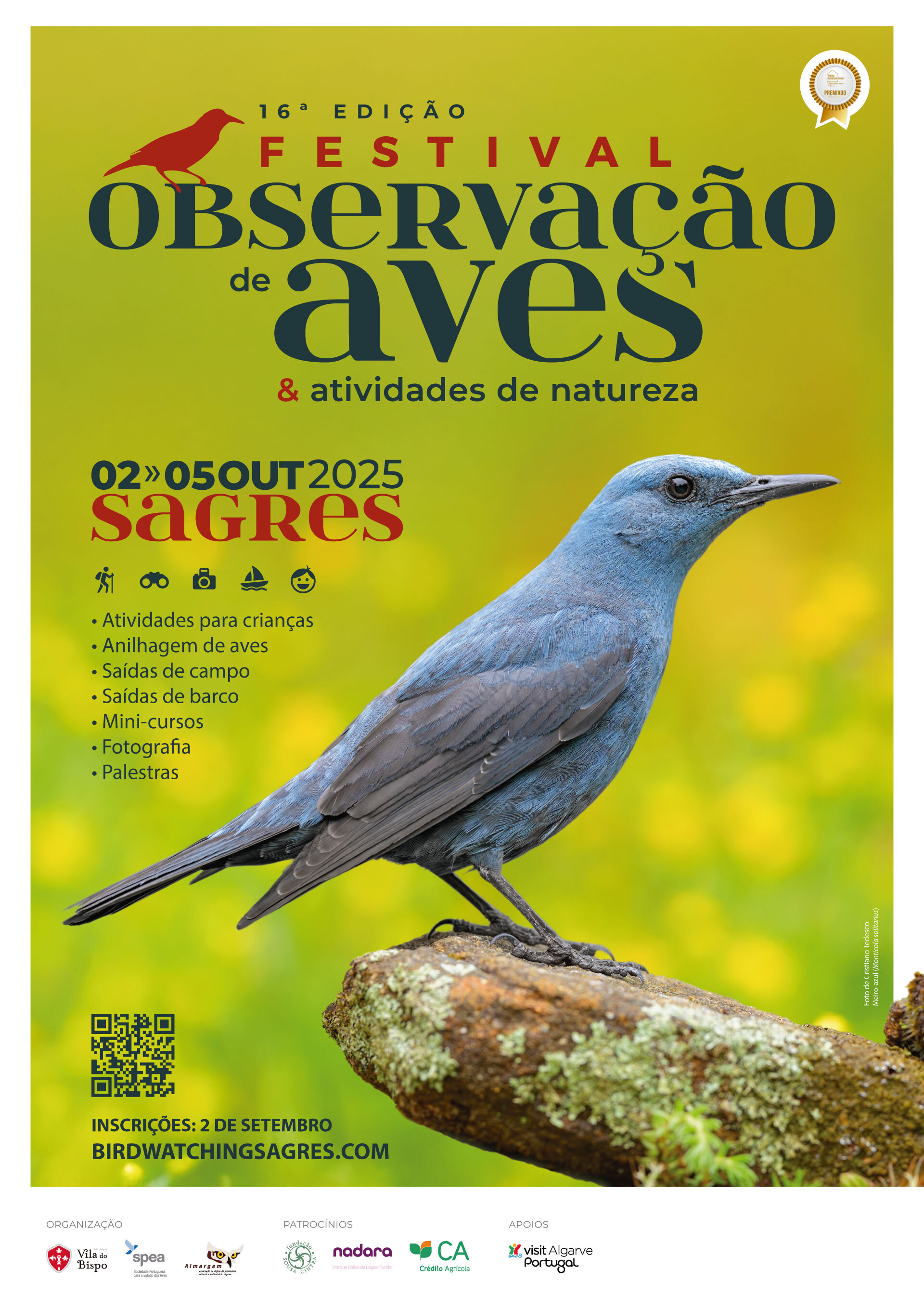 Quatro dias, milhares de aves e um festival que não pode perder