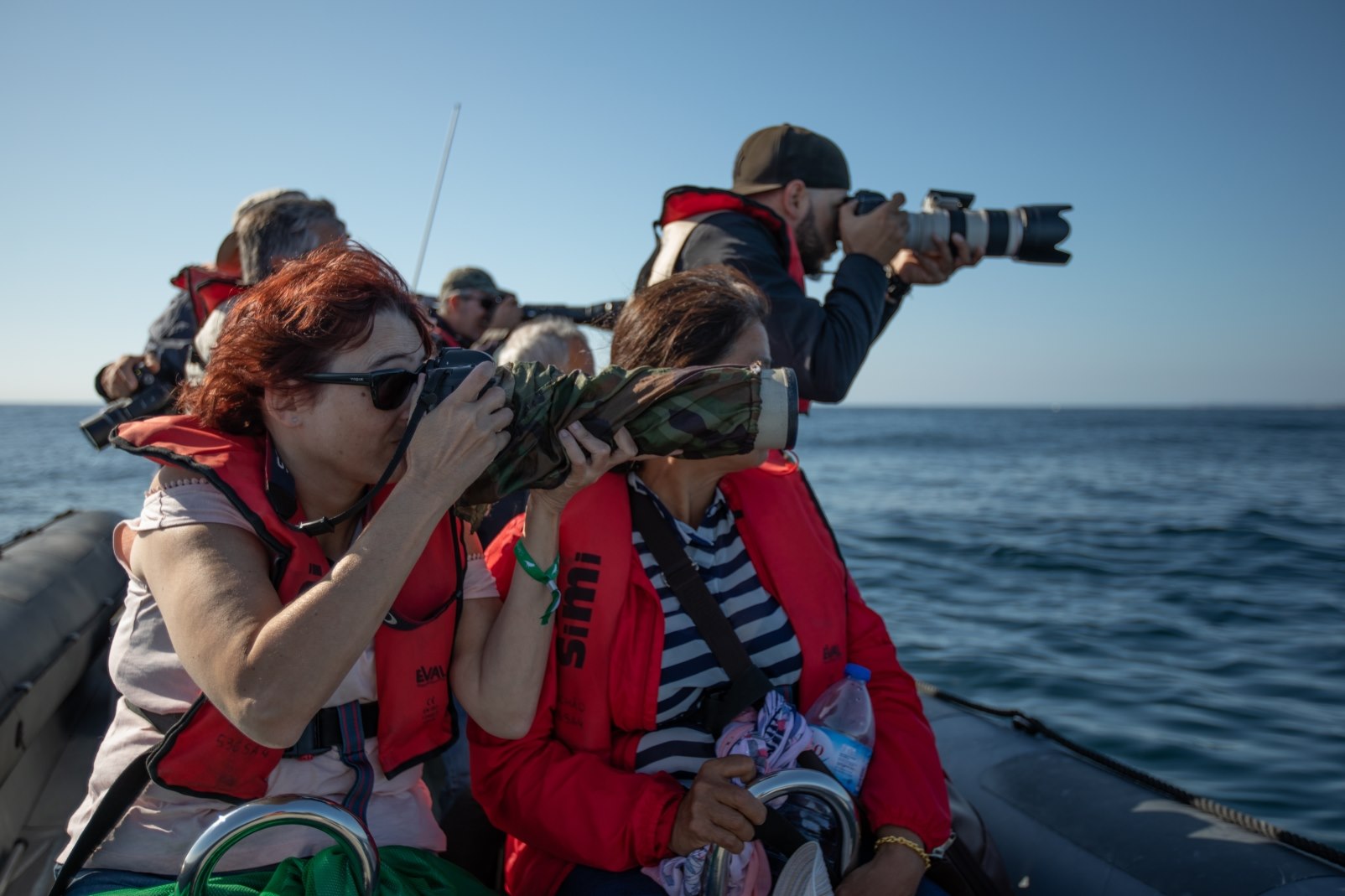 Festival Observação de Aves & Atividades de Natureza de Sagres